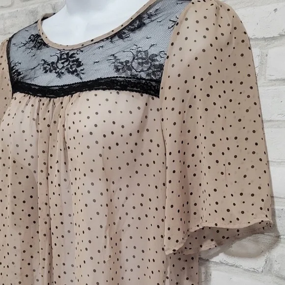Paper Crane | Lace Panel Polka Dot Sheer Chiffon Blouse - Picture 3 of 7
